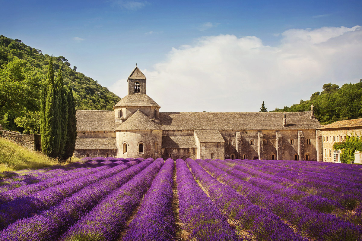 8 French Regions You Need to Visit After Paris
