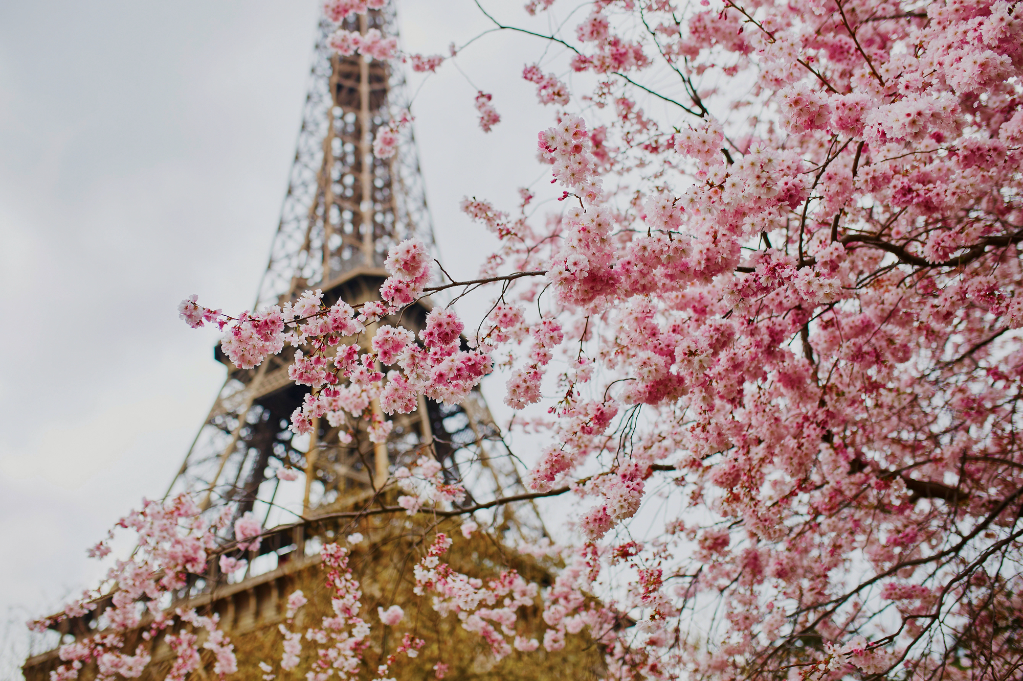 Spring, Summer, Fall, Winter: These Are the Best Places to Visit in France Each Season