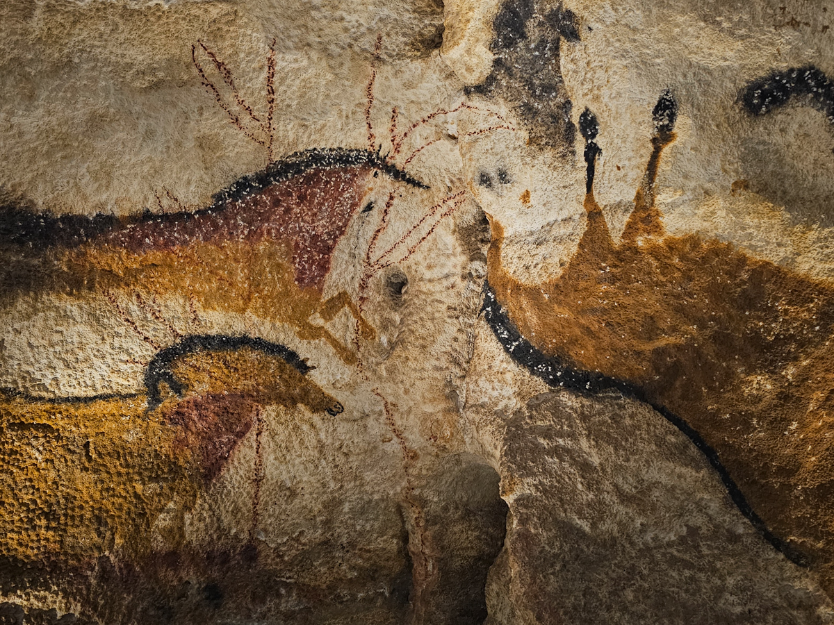 Great Ceiling Rouffignac Southwest France Is One Of the Most Famous Cave Regions in the World ...