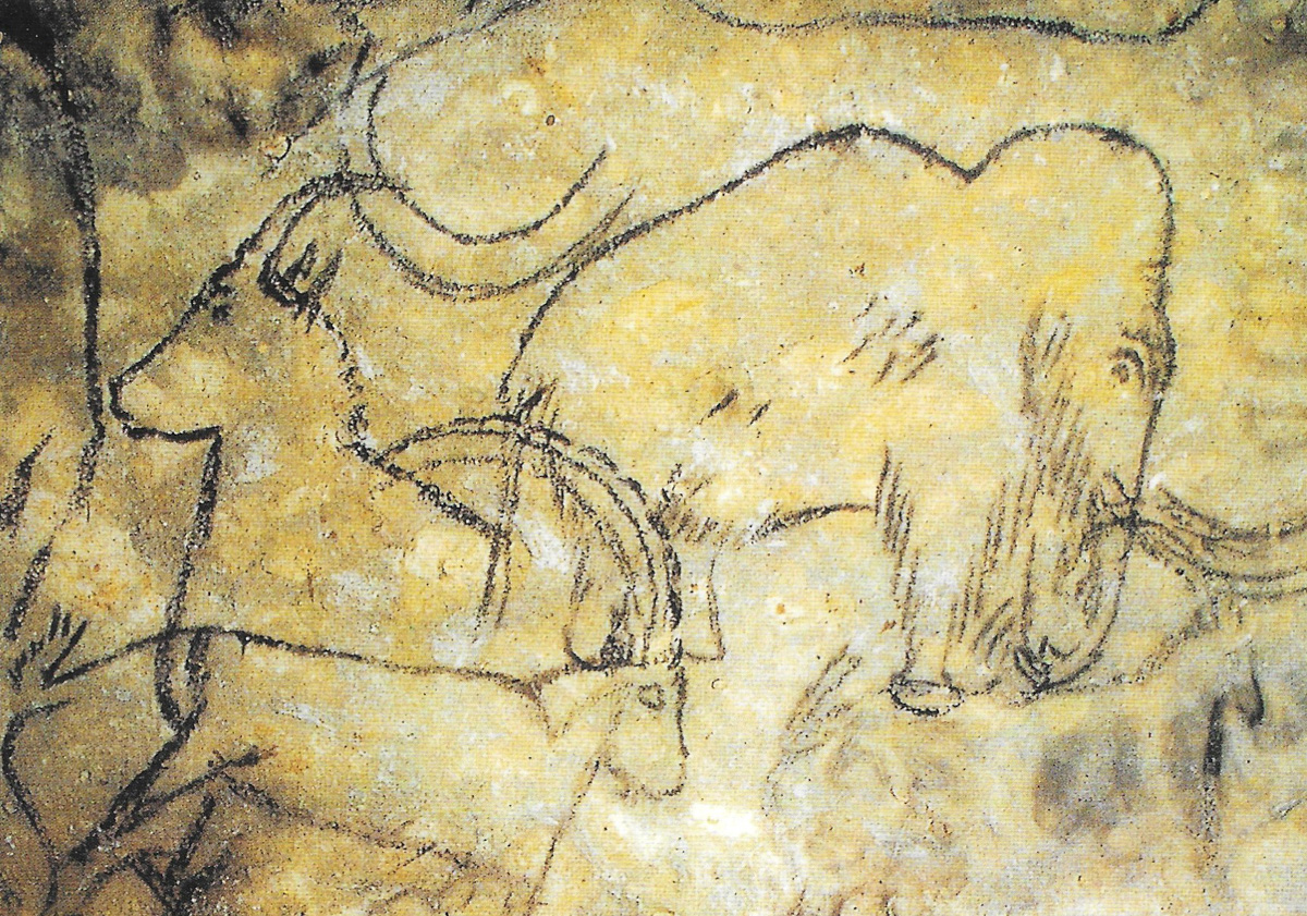 Great Ceiling Rouffignac Southwest France Is One Of the Most Famous Cave Regions in the World ...